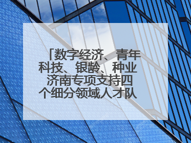 数字经济、青年科技、银龄、种业 济南专项支持四个细分领域人才队伍建设