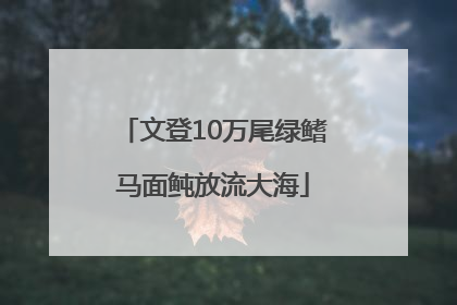 文登10万尾绿鳍马面鲀放流大海