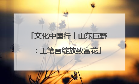 文化中国行丨山东巨野：工笔画绽放致富花