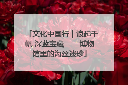 文化中国行｜浪起千帆 深蓝宝藏——博物馆里的海丝遗珍