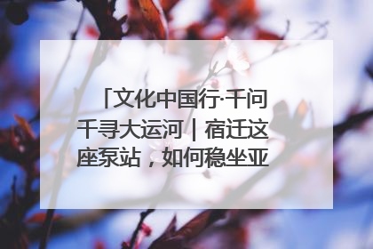 文化中国行·千问千寻大运河｜宿迁这座泵站，如何稳坐亚洲第一宝座？