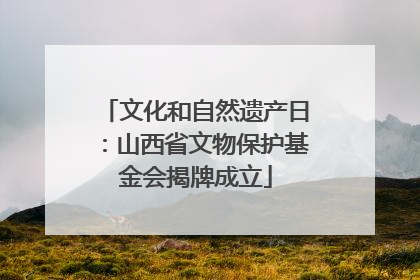 文化和自然遗产日：山西省文物保护基金会揭牌成立