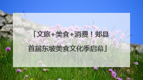 文旅+美食+消费！郏县首届东坡美食文化季启幕
