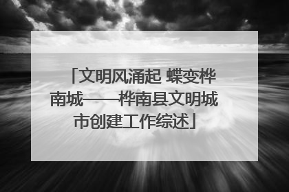 文明风涌起 蝶变桦南城——桦南县文明城市创建工作综述
