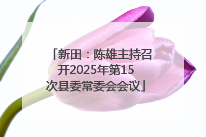 新田：陈雄主持召开2025年第15次县委常委会会议