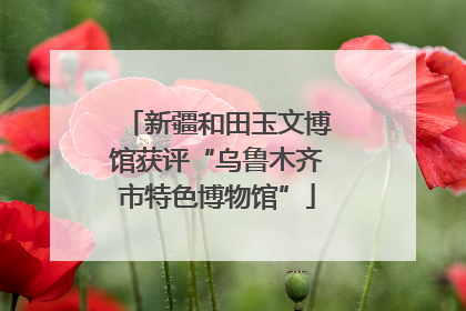 新疆和田玉文博馆获评“乌鲁木齐市特色博物馆”