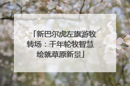 新巴尔虎左旗游牧转场：千年轮牧智慧绘就草原新景
