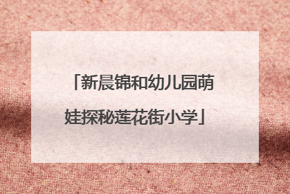 新晨锦和幼儿园萌娃探秘莲花街小学