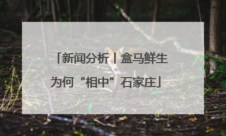 新闻分析丨盒马鲜生为何“相中”石家庄