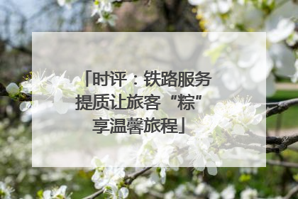 时评：铁路服务提质让旅客“粽”享温馨旅程