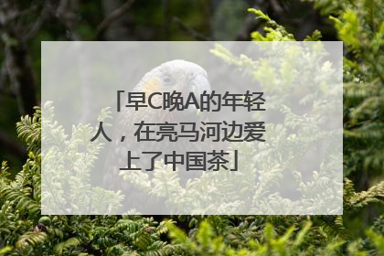 早C晚A的年轻人，在亮马河边爱上了中国茶