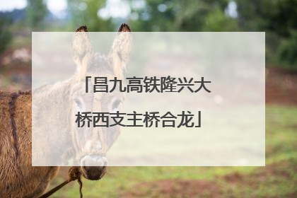 昌九高铁隆兴大桥西支主桥合龙