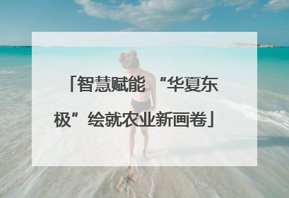 智慧赋能 “华夏东极”绘就农业新画卷