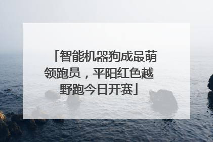 智能机器狗成最萌领跑员，平阳红色越野跑今日开赛