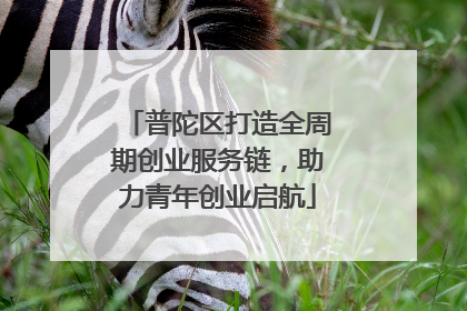 普陀区打造全周期创业服务链，助力青年创业启航