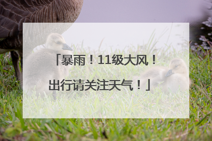 暴雨！11级大风！出行请关注天气！