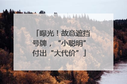 曝光！故意遮挡号牌，“小聪明”付出“大代价”