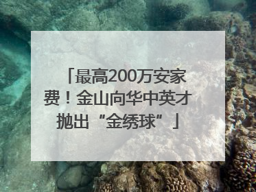 最高200万安家费！金山向华中英才抛出“金绣球”