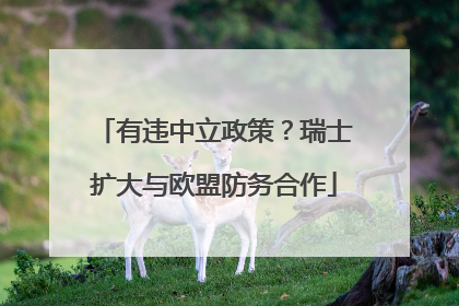 有违中立政策？瑞士扩大与欧盟防务合作