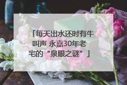每天出水还时有牛叫声 永嘉30年老宅的“泉眼之谜”