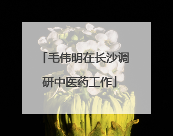 毛伟明在长沙调研中医药工作