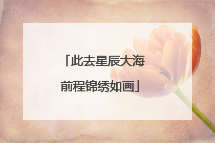 此去星辰大海 前程锦绣如画