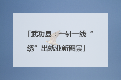 武功县：一针一线“绣”出就业新图景