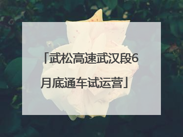 武松高速武汉段6月底通车试运营