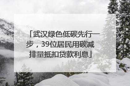 武汉绿色低碳先行一步，39位居民用碳减排量抵扣贷款利息
