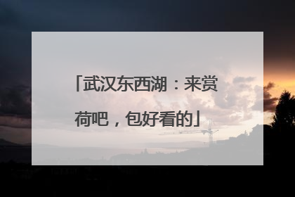 武汉东西湖：来赏荷吧，包好看的