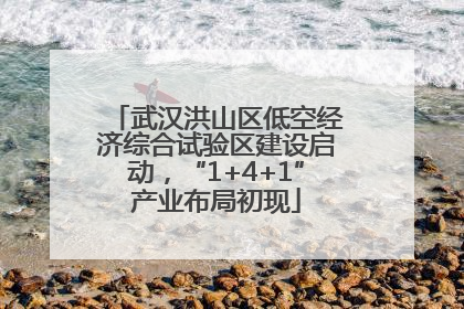 武汉洪山区低空经济综合试验区建设启动，“1+4+1”产业布局初现