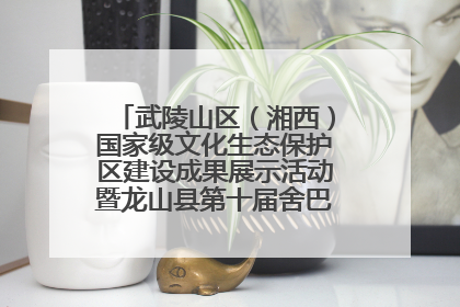 武陵山区（湘西）国家级文化生态保护区建设成果展示活动暨龙山县第十届舍巴日即将启幕