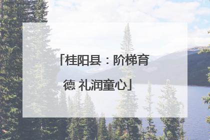 桂阳县：阶梯育德 礼润童心