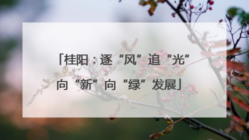 桂阳：逐“风”追“光” 向“新”向“绿”发展