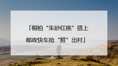 桐柏“朱砂红桃”搭上邮政快车抢“鲜”出村