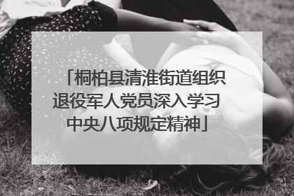 桐柏县清淮街道组织退役军人党员深入学习中央八项规定精神