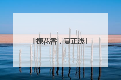 楝花香，夏正浅
