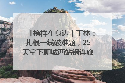 榜样在身边｜王林：扎根一线破难题，25天拿下聊城西站钢连廊“硬核”工程