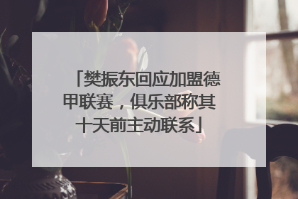 樊振东回应加盟德甲联赛，俱乐部称其十天前主动联系