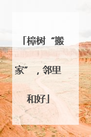 樟树“搬家”，邻里和好