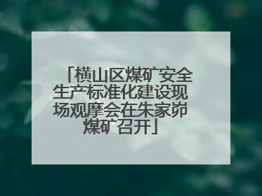 横山区煤矿安全生产标准化建设现场观摩会在朱家峁煤矿召开