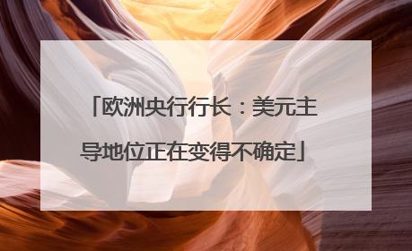 欧洲央行行长：美元主导地位正在变得不确定