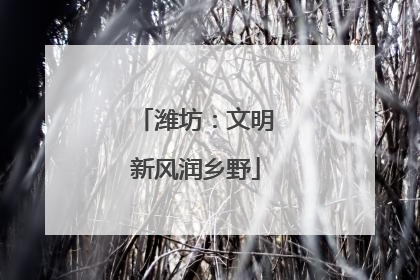 潍坊：文明新风润乡野
