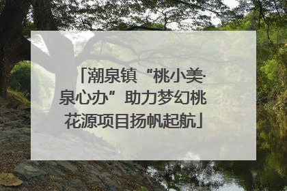 潮泉镇“桃小美·泉心办”助力梦幻桃花源项目扬帆起航