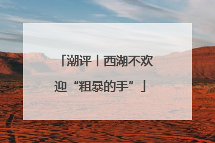 潮评丨西湖不欢迎“粗暴的手”
