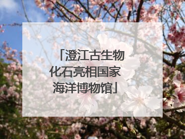 澄江古生物化石亮相国家海洋博物馆