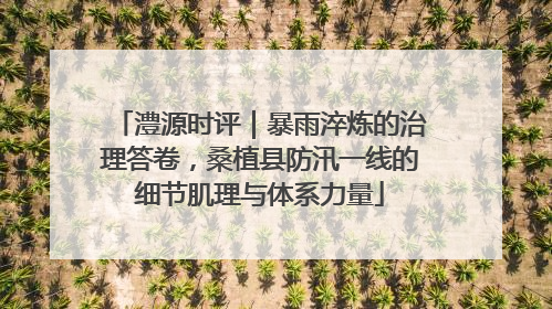 澧源时评｜暴雨淬炼的治理答卷，桑植县防汛一线的细节肌理与体系力量