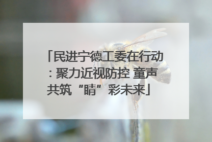 民进宁德工委在行动：聚力近视防控 童声共筑“睛”彩未来