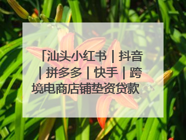 汕头小红书｜抖音｜拼多多｜快手｜跨境电商店铺垫资贷款企业-漫商易