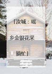 汝城：瑶乡金银花采摘忙